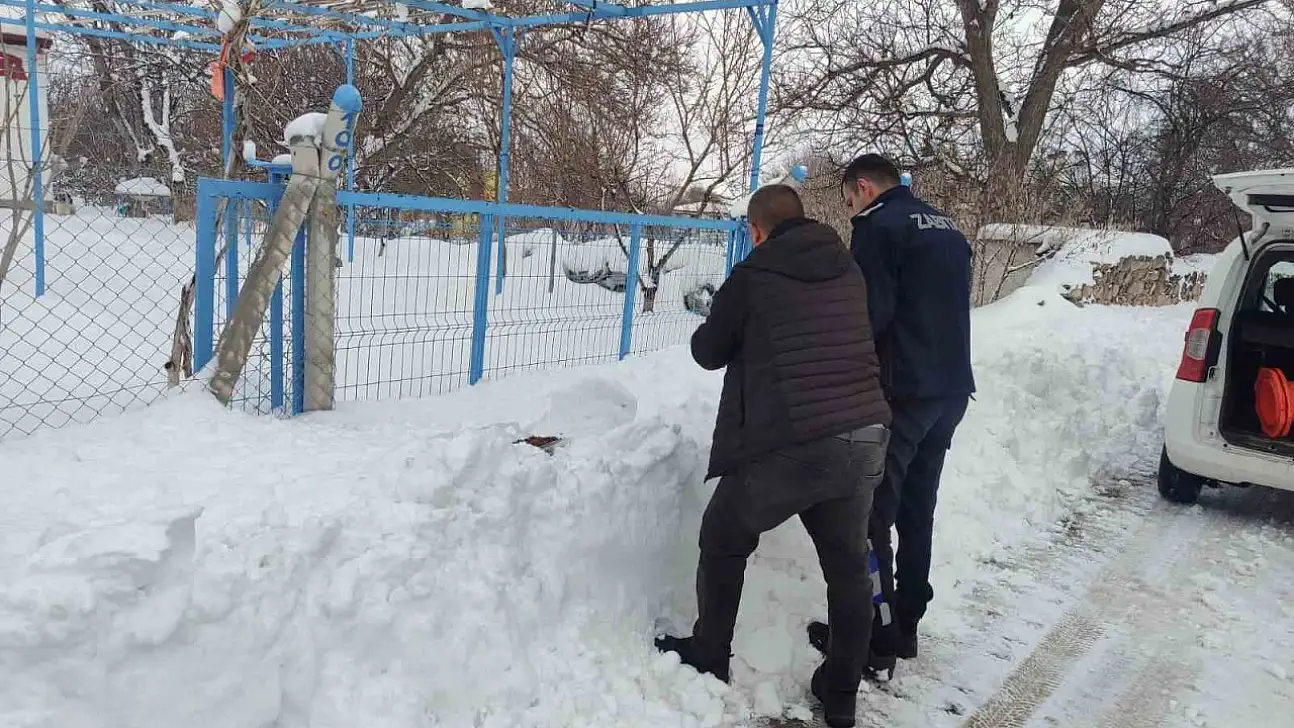 Bünyan'da sokak hayvanlarına mama desteği