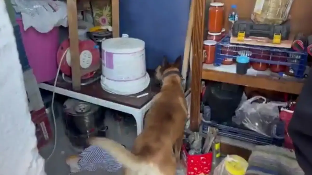 Uyuşturucu ticaretine 14 yıl hapis