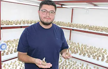 'Kayseri'de yetişmez' denildi, girişimci başardı
