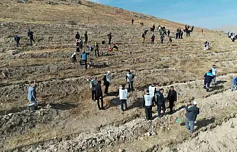 'Şahidimiz Toprak, İmzamız Fidan, Sevdamız Yeşil Vatan' Yahyalı'da hayat buldu