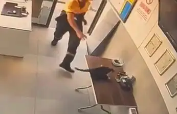 Akaryakıt istasyonunda kedinin saldırdığı kargayı görevli kurtardı
