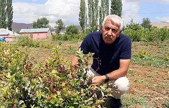 Aronya ile ilçeyi kalkındıracaklar