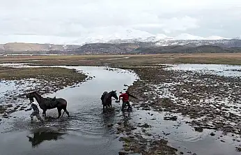 Atla gezi suda bitti