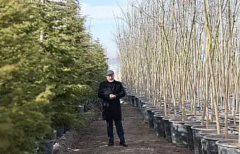 Başkan Çolakbayrakdar: 'Şehrin yeşil geleceğini Kocasinan'da inşa ediyoruz'