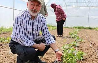 Başkan Çolakbayrakdar: 'Şehrin merkezinde tarım yapıyoruz, Türkiye'ye örnek oluyoruz'