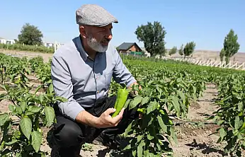 Başkan Çolakbayrakdar: 'Toprağımıza bereket, çiftçimize yeni kazanç kapısı açıyoruz'