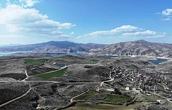 Başkan Çolakbayrakdar: 'Türkiye'de ağaç dikmede rekor kırdık, şimdi yeni bir rekor için çalışıyoruz'