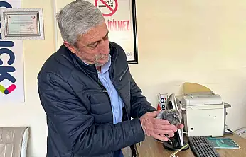 Bünyan'da çatıdan düşen kuş, yuvasına kavuşturuldu