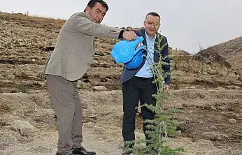 Bünyan'da Milli Ağaçlandırma Günü'nde fidanlar toprakla buluştu