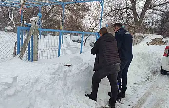 Bünyan'da sokak hayvanlarına mama desteği