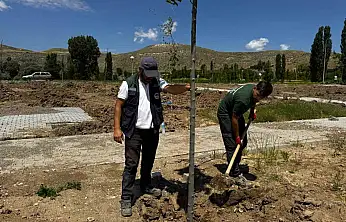 Büyükşehir'den Şahruh Köprüsü yanına dev etkinlik alanı