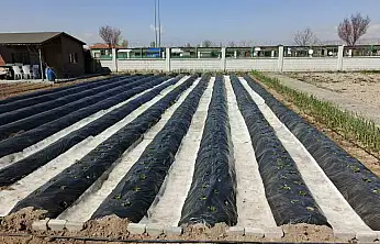 Büyükşehirin Doğal Ürünler Bahçesi ve Pazarı'nda yeni sezon hazırlığı