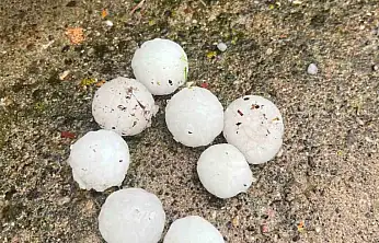 Ceviz büyüklüğünde yağan dolu ağaçlara zarar verdi