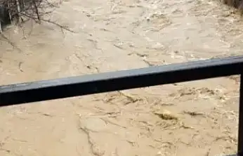 Develi'de aşırı yağış sele neden oldu, bazı ev ve ahırları su bastı