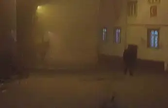 Develi'de yoğun sis etkili oldu