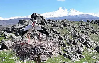 Doğanın uyanışı, Hürmetçi Sazlığı'nda sahneleniyor