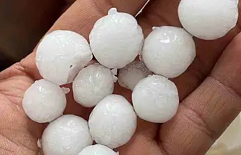 Dolu yağışı ekili alanlara zarar verdi