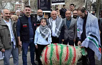 Elleriyle besleyip büyüttüğü kuzuyu Gazze'ye bağışladı