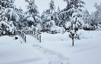 Hacılar Belediyesi ekipleri karla mücadele için sahada