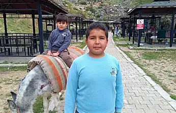 Homurlu'da eşek turları başladı