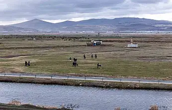 Hürmetçi'de sıcak asfalt, çevre temizliği ve yeşil alan atağı