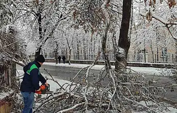 Kayseri Büyükşehir'den kış çalışmalarında ağaç güvenliği seferberliği