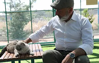 Kayseri'de ilk ve tek küçük dostları Kedi Kasabası, ziyaretçi rekoru kırıyor