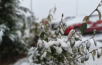 Kayseri'nin yüksek kesimlerine kar yağdı