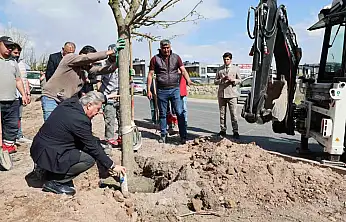 Melikgazi, ağaçlandırma çalışmaları ile geleceğe daha yeşil bir miras bırakıyor