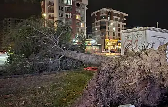 Meteoroloji'den 'kuvvetli rüzgar' ve 'fırtına' uyarısı