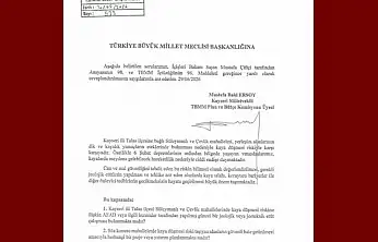 MHP'li Ersoy, 2 mahalledeki kaya düşmesi riskini meclise taşıdı