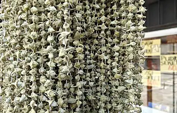 Ramazan'ın gözdesi bamya tezgahlarda