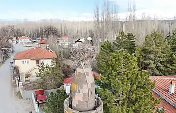 Şıhbarak mahallesinde baharın müjdecisi leylekler yuvalarına döndü