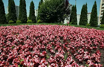 Talas 2026'da rengarenk olacak