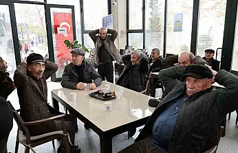 Talas'ın çınarları hayata hareket ediyor