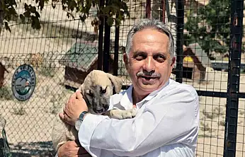 Talas Patievi Doğal Yaşam Alanı 500 can için seçkin bir yuva