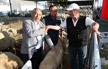 Talas'ta Kurban Pazarı başvuru tarihi belli oldu