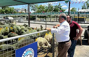 Talas'ta kurban pazarına yoğun ilgi