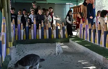 Türkiye'de ilk olan 'Küçük Dostlar Ambulansı' ile 10 bin 280 can kurtarıldı