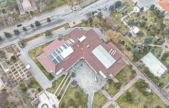 Ulu çınarların yuvası yenileniyor