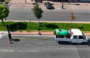 Yeşil alanlarda hastalık ve zararlılara karşı mücadele sürüyor