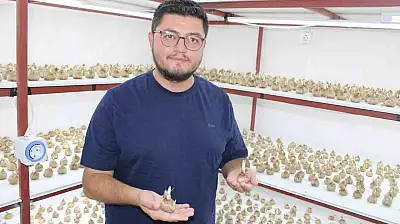 'Kayseri'de yetişmez' denildi, girişimci başardı