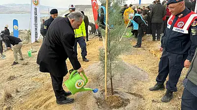 Ali Dağı'nın zirvesine 1111 fidan