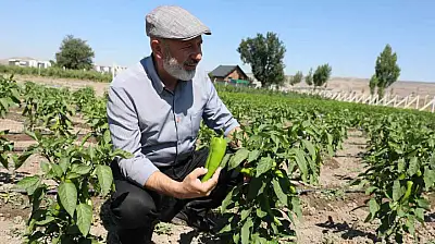 Başkan Çolakbayrakdar: 'Toprağımıza bereket, çiftçimize yeni kazanç kapısı açıyoruz'