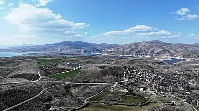 Başkan Çolakbayrakdar: 'Türkiye'de ağaç dikmede rekor kırdık, şimdi yeni bir rekor için çalışıyoruz'