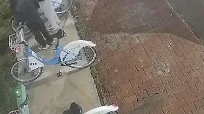 Belediyenin bisikletlerine böyle zarar verdiler