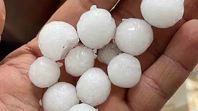 Dolu yağışı ekili alanlara zarar verdi