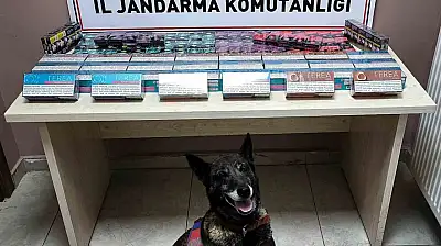 Kayseri'de kaçak sigara operasyonu