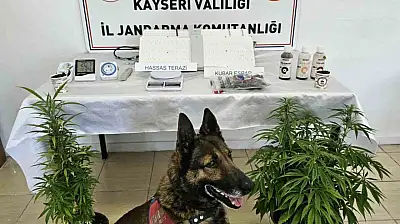 Kayseri'de uyuşturucu operasyonu