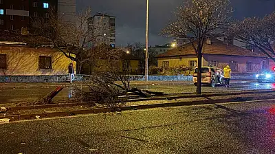 Kaza savrulan otomobil ağacı ikiye böldü: 4 yaralı